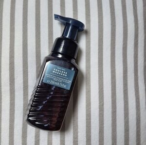 Endless Weekend Foaming Hand Soap From Bath & Body Works, Brand New